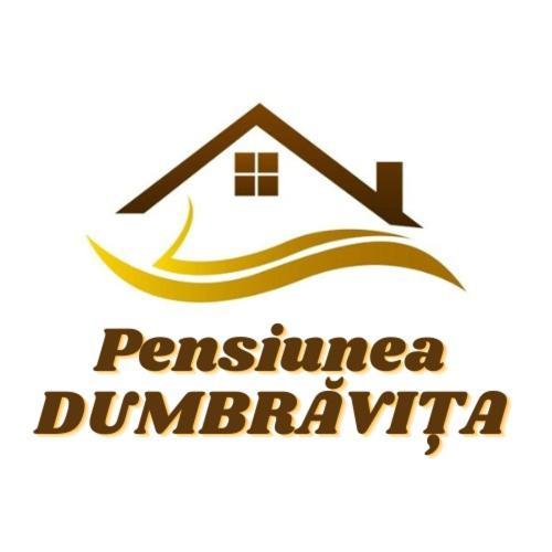 Pensiunea Dumbravita Dumbrava  Extérieur photo